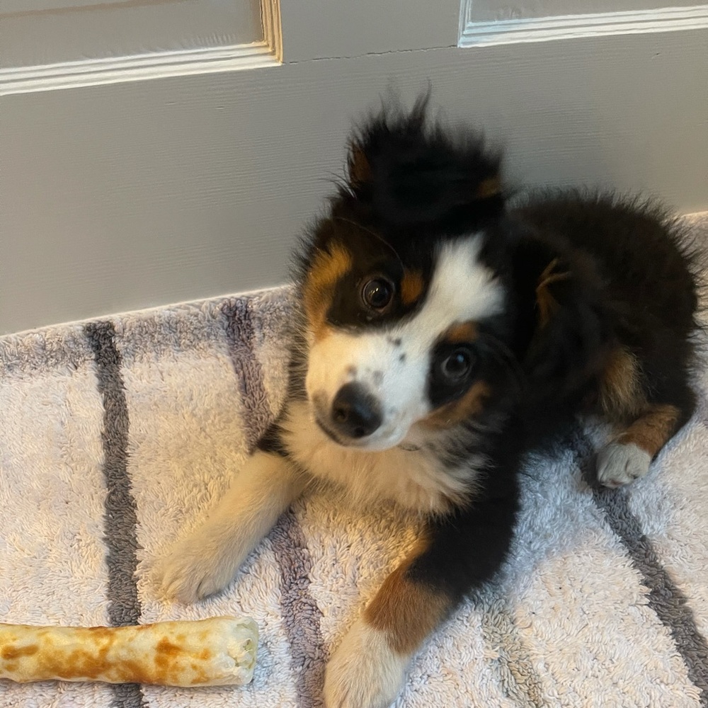Meet your Posher, Gabriella